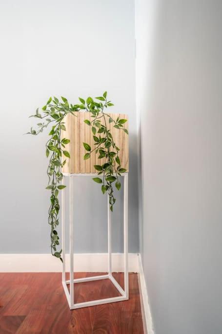 The Green House Of Stavanger Bnb 14 -Central, Sauna And Airport Shuttle Esterno foto